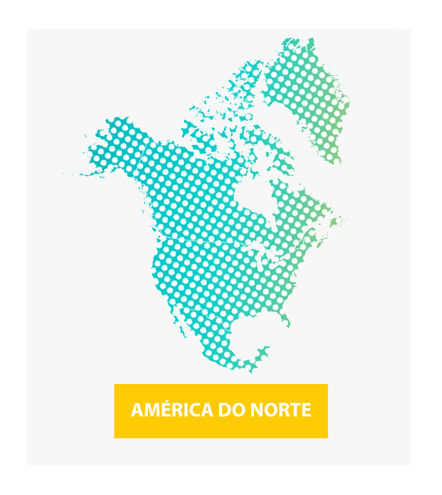 CMTV - Consulta do Viajante